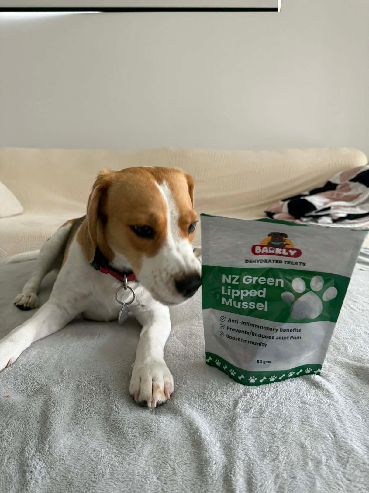 New Zealand Green Lipped Mussels