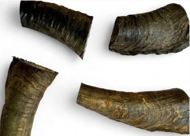 Goat Horn Butts with Marrow