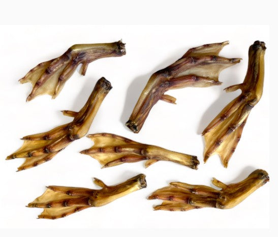 Duck Feet