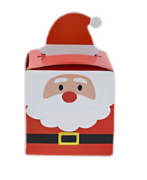 Barkly Mini Christmas Treat Box