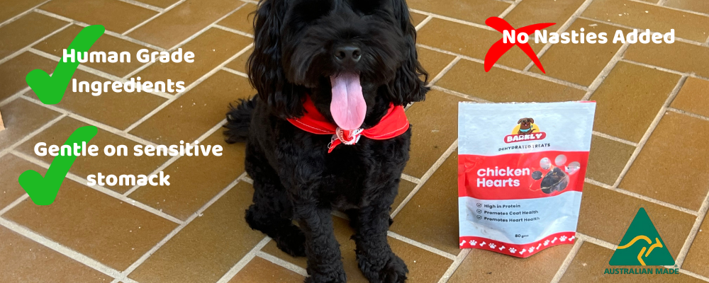 Chicken Hearts for Dogs: A Nutritious Superfood Treat