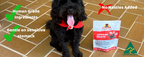Chicken Hearts for Dogs: A Nutritious Superfood Treat