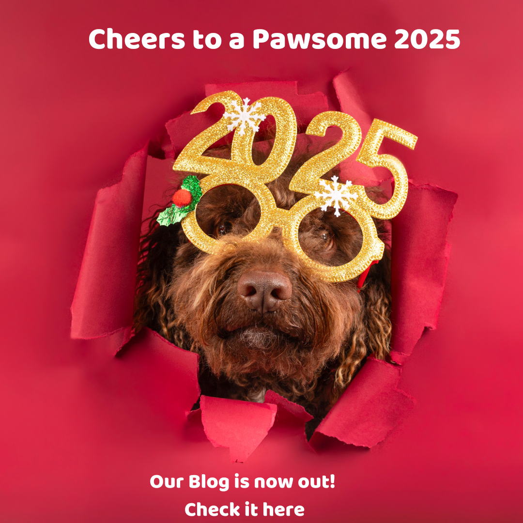 A Fresh Start for Your Pup in 2025: Healthy Habits with Barkly Natural Dog Treats