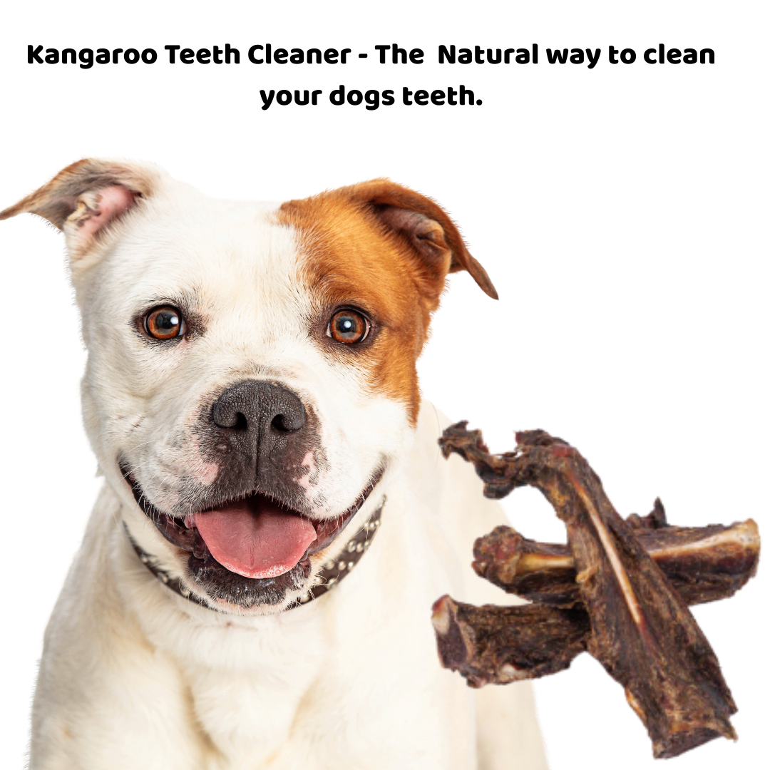 Kangaroo Teeth Cleaners: The Natural Dental Chew Every Dog Needs