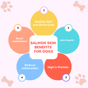 The Benefits of Salmon Skin for Dogs: A Nutrient-Rich Treat