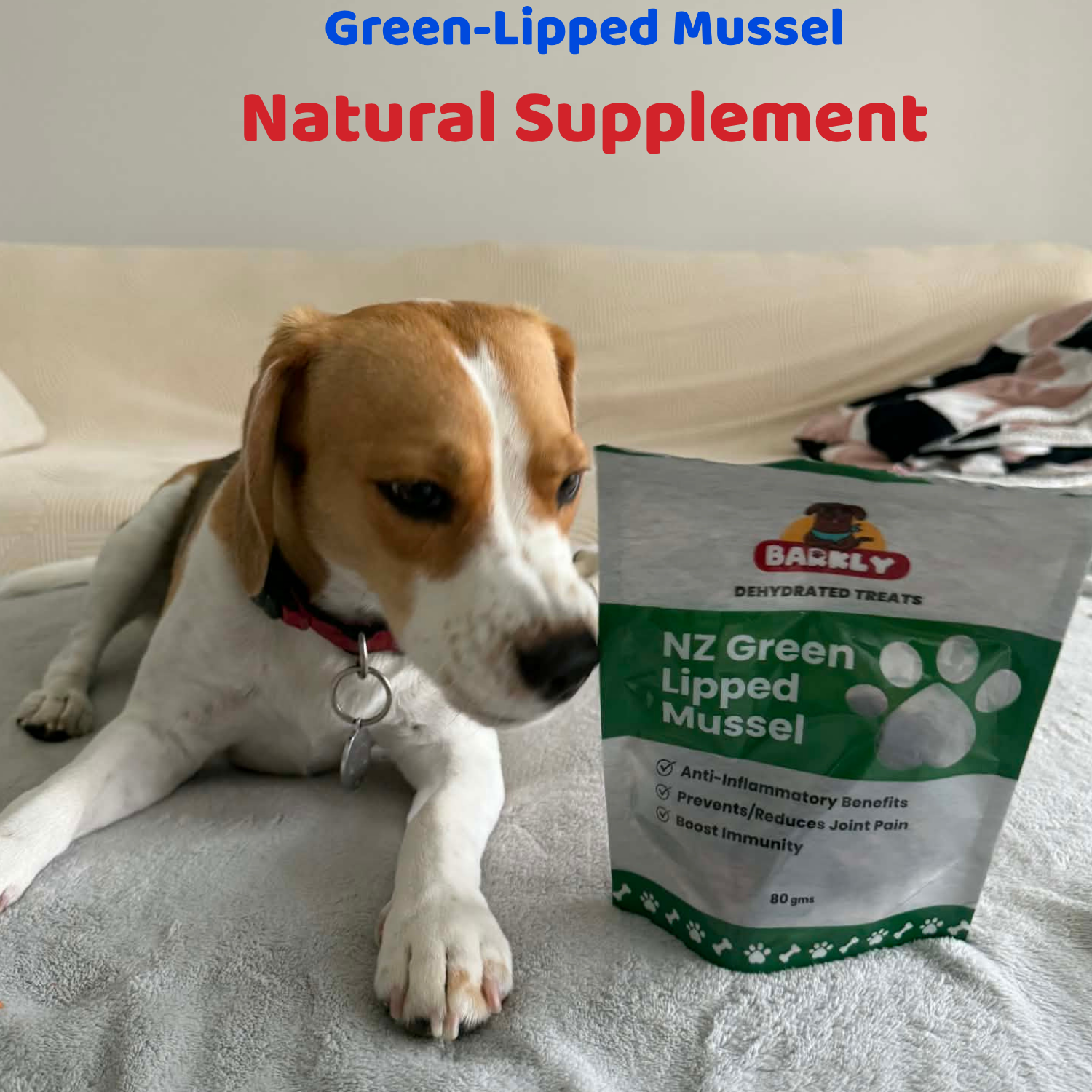 Unlocking the Benefits of New Zealand Mussel Meal Topper for Dogs with Itchy Paws