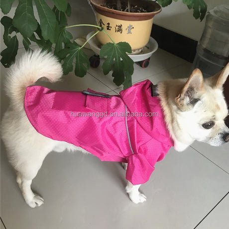 Raincoats