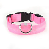 Light-Up Dog Collar (Battery Operated)
