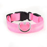 Light-Up Dog Collar (Battery Operated)