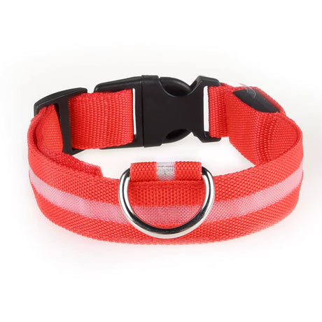 Light-Up Dog Collar (Battery Operated)