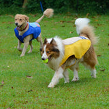 Cooling Vest