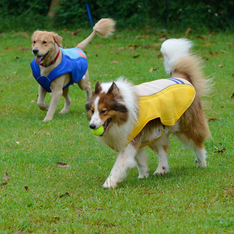 Cooling Vest