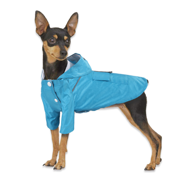 Raincoats