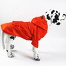 Raincoats