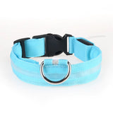 Light-Up Dog Collar (Battery Operated)