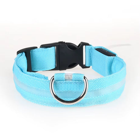 Light-Up Dog Collar (Battery Operated)