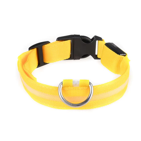 Light-Up Dog Collar (Battery Operated)