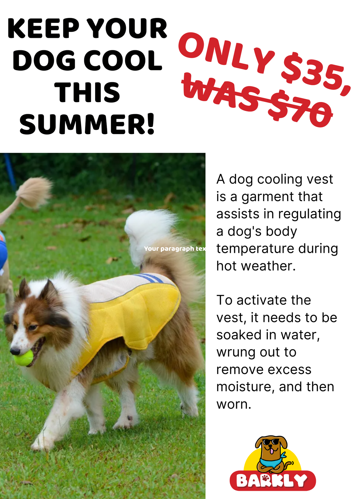 Cooling Vest