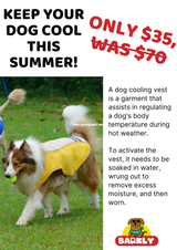 Cooling Vest