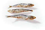 Sardines
