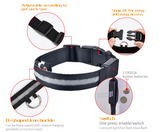 Light-Up Dog Collar (Battery Operated)
