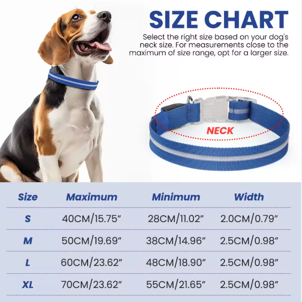 Light-Up Dog Collar (Battery Operated)
