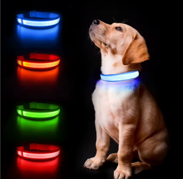 Light-Up Dog Collar (Battery Operated)