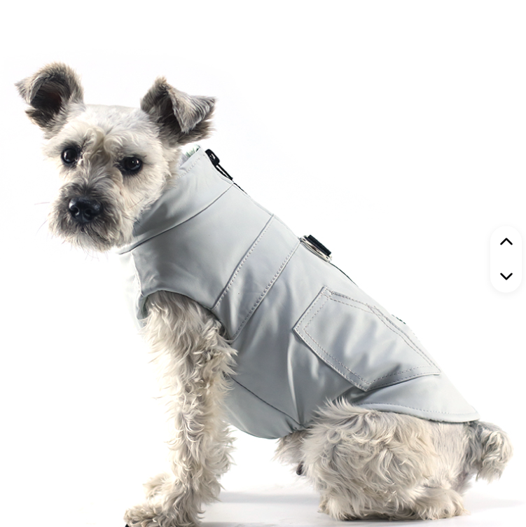 Dog Shower & Wind-Proof Vest