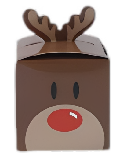 Barkly Mini Christmas Treat Box