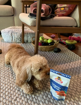 Kangaroo and Carrots