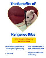 Kangaroo Ribs