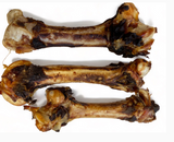 Kangaroo Femur