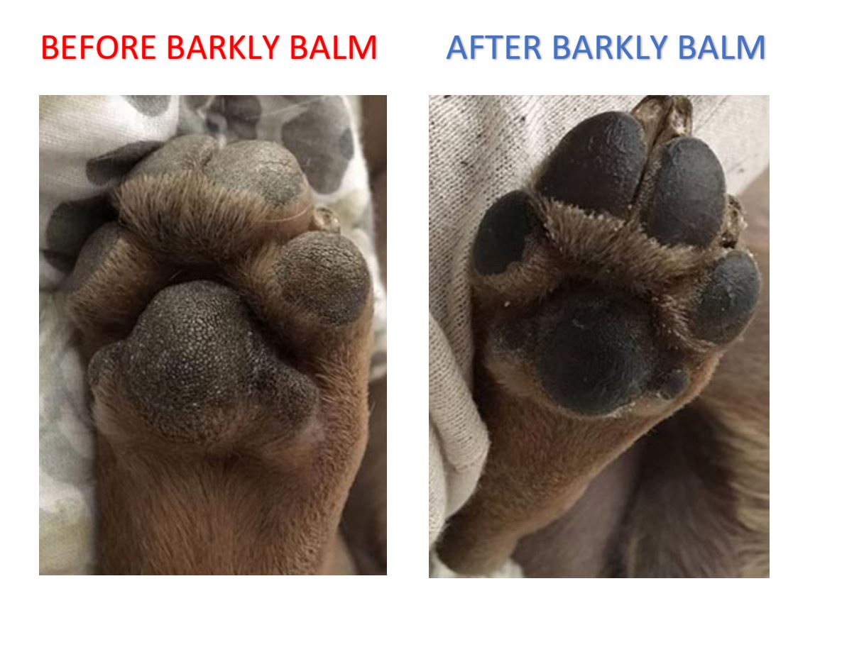 Organic Dog Balm