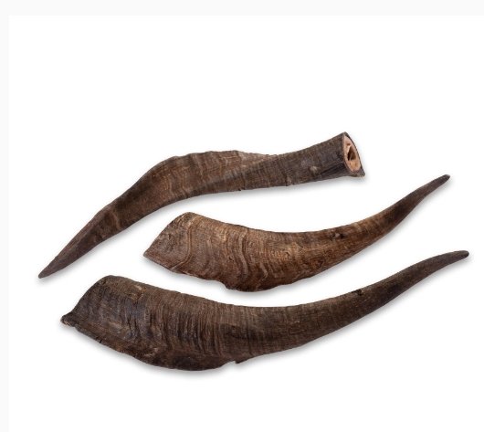 Goat Horn - BARKLY