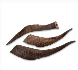 Goat Horn - BARKLY